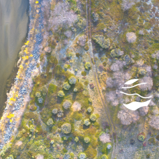 aerial image of a river