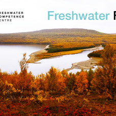 Freshwater Friday advertisement, Pulmanki river photo