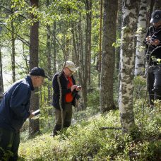 Three scientists in a forest collecting data.